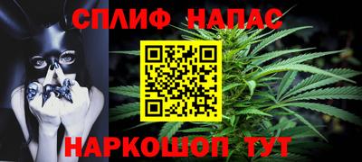 МДПВ Будённовск