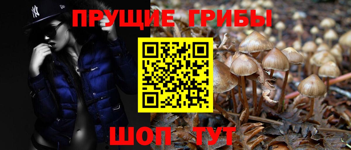 Псилоцибиновые грибы MAGIC MUSHROOMS Смоленск